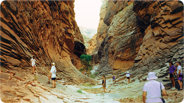 grandcanyon-tipped_layers_in_barbed_north_canyon.jpg Image Thumbnail